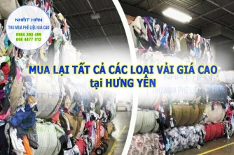 Thu mua vải giá cao tại Hưng Yên Thu mua vải giá cao tại Hưng Yên